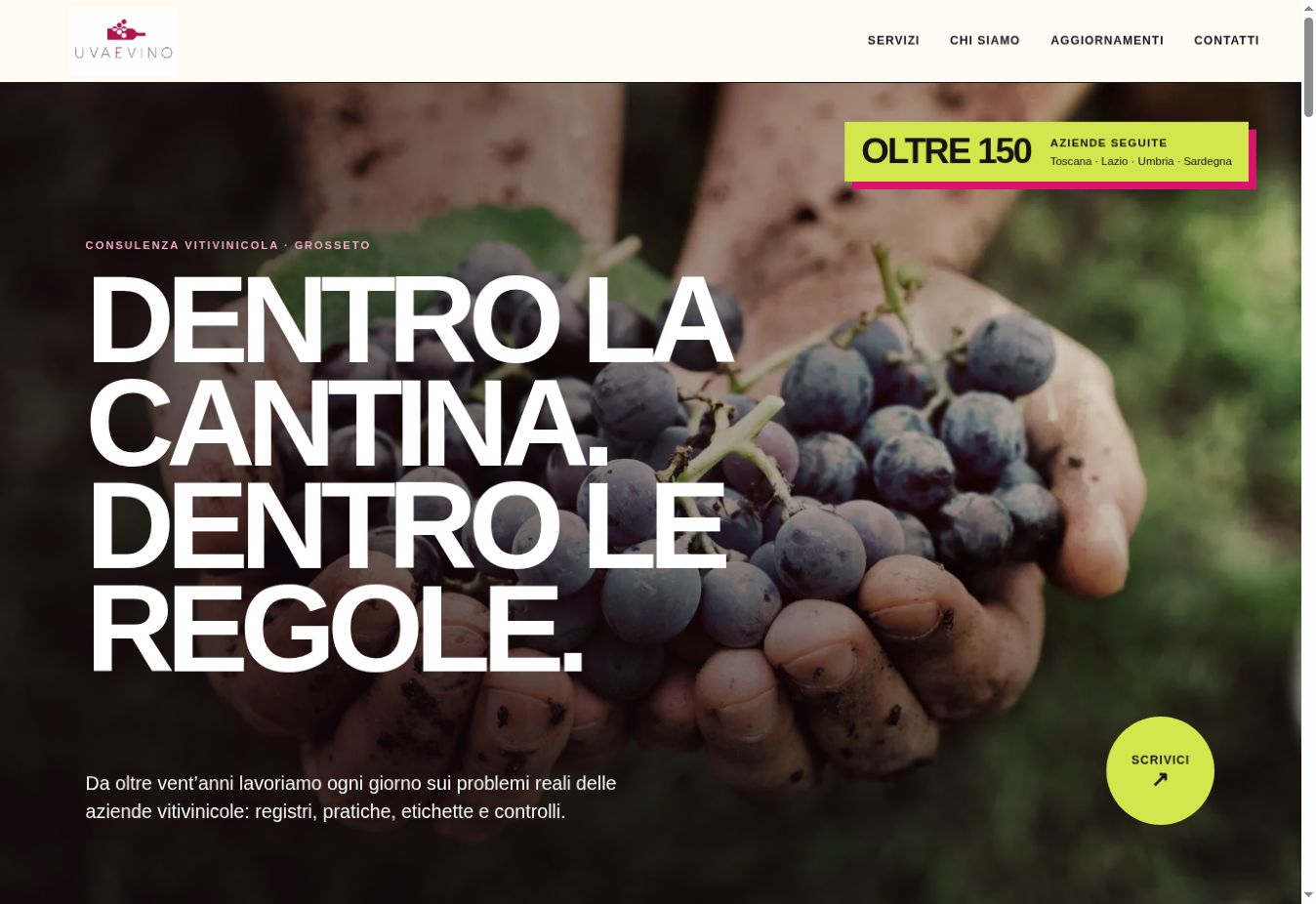 Homepage di Uvaevino Consulenza